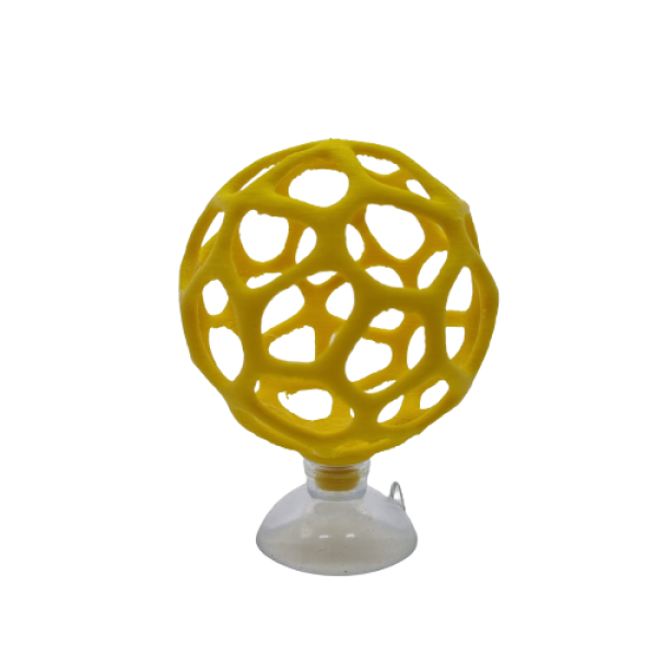 Garnelen Fußball, Moosball, Tangball, Moos, Ball, Aquascaping, Dekoration